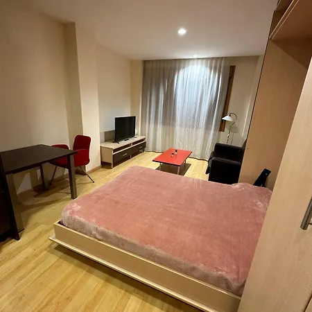 Apartment Estudio Centrico A2 *